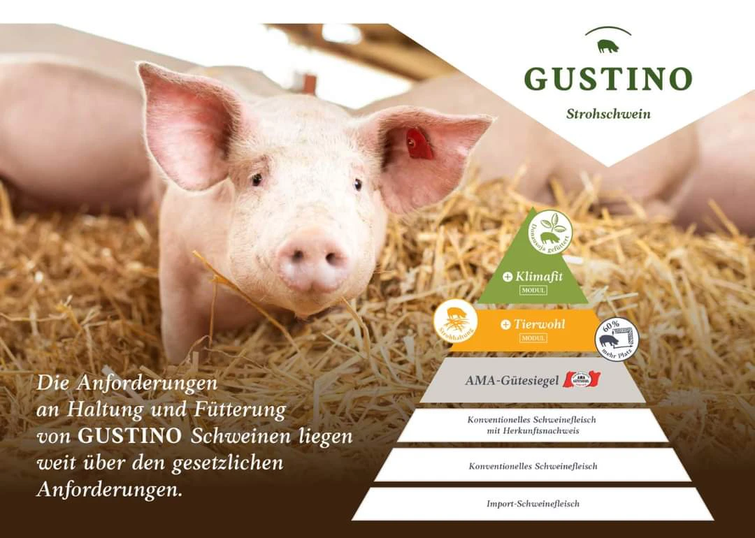 Gustino Strohschwein Kopie